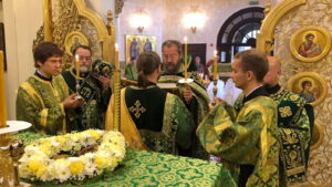 C:\Users\stesi\OneDrive\Рабочий стол\ИЗНЕСЕНИЕ ЧЕСТНЫХ ДРЕВ\Изображение WhatsApp 2025-08-14 в 20.15.47_39da8034.jpg