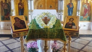 C:\Users\stesi\OneDrive\Рабочий стол\ИЗНЕСЕНИЕ ЧЕСТНЫХ ДРЕВ\Изображение WhatsApp 2025-08-14 в 20.15.47_445e87f4.jpg