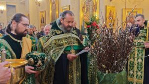 E:\ВЕЛИКИЙ ПОСТ+\ВЕЛИКИЙ ПОСТ 2026+\ВХОД ГОСПОДЕНЬ В ИЕРУСАЛИМ+\ФОТО+\ScreenshЛ.jpg